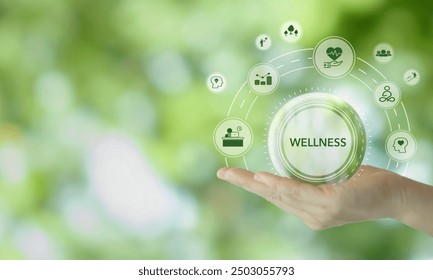 Superfoods for Energy and Vitality